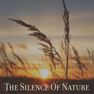 The Silence Of Nature