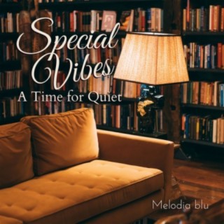 Special Vibes - A Time for Quiet