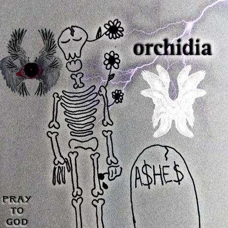 orchidia ft. cvs | Boomplay Music