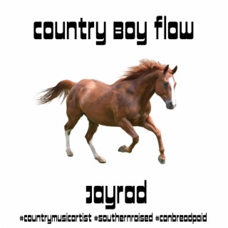 Country Boy Flow lyrics | Boomplay Music