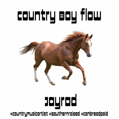 Country Boy Flow | Boomplay Music
