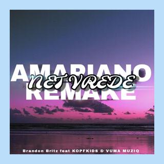 Net vrede remake (Amapiano version)