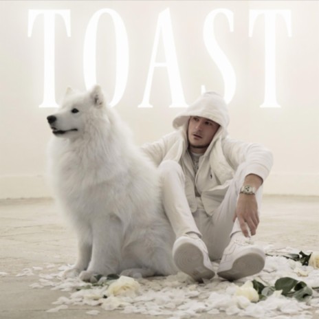 Toast | Boomplay Music