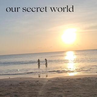 our secret world