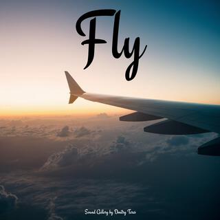 Fly