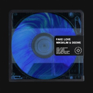 Fake Love (Radio Edit)