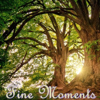 Fine Moments