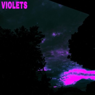 violets lyrics | Boomplay Music