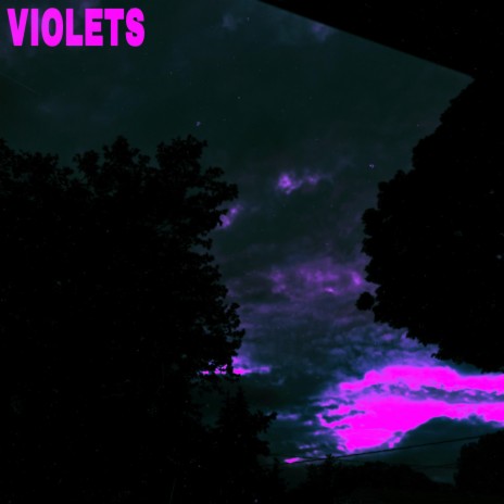 violets