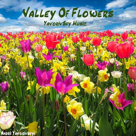 Valley Of Flowers | Boomplay Music
