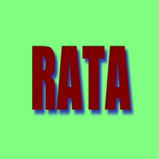 Rata Rata