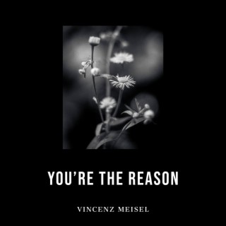 you're the reason