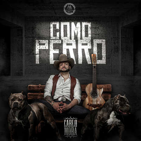 Como Perro | Boomplay Music