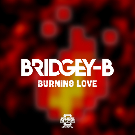 Burning Love (Radio Edit) | Boomplay Music