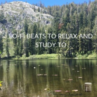 Lo-fi Beats To Relax and Study To, Vol. 11