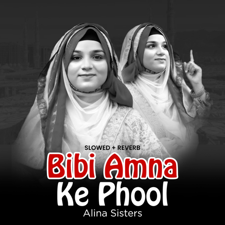 Bibi Amna Ke Phool (Lofi-Mix) | Boomplay Music