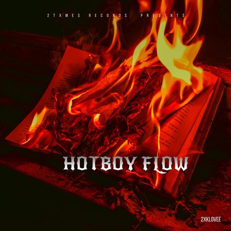 HotBoy Flow | Boomplay Music