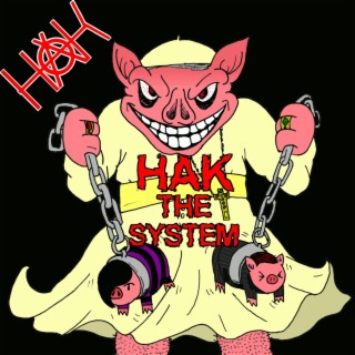 HAK the System