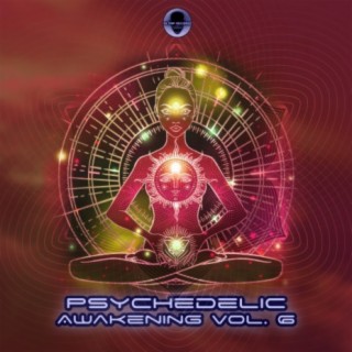 Psychedelic Awakening, Vol. 6 (Dj Mixed)