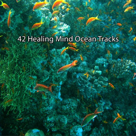 Calming Ocean Aura | Boomplay Music