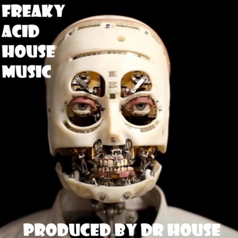 Freaky Acid House Music (Original Mix)
