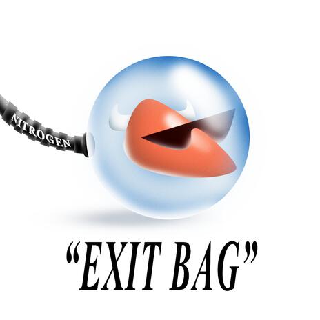 EXIT BAG | Boomplay Music