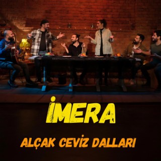 Alçak Ceviz Dalları