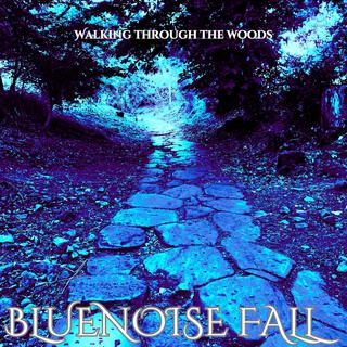 Bluenoise Fall