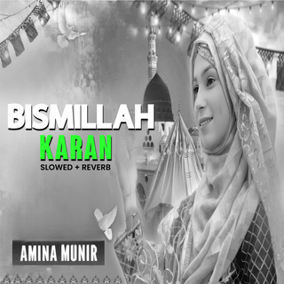 Bismillah Karan (Lofi-Mix)