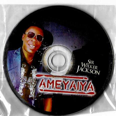 Ameyaiya ft. nil | Boomplay Music