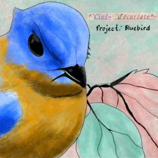 Bluebird(Alive) lyrics | Boomplay Music