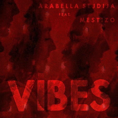 VIBES ft. Mestizo | Boomplay Music