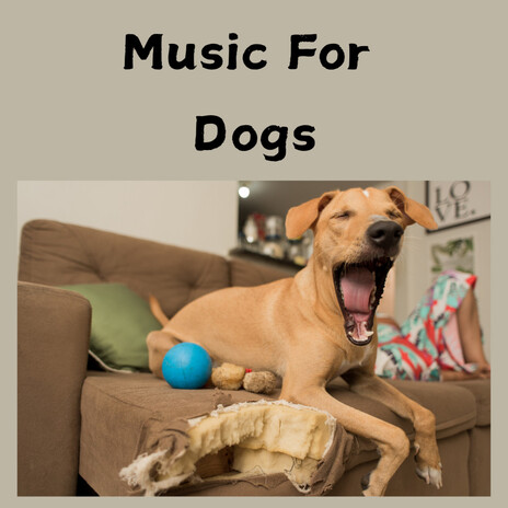 Under the Covers ft. Music For Dogs Peace, Relaxing Puppy Music & Calm Pets Music Academy | Boomplay Music