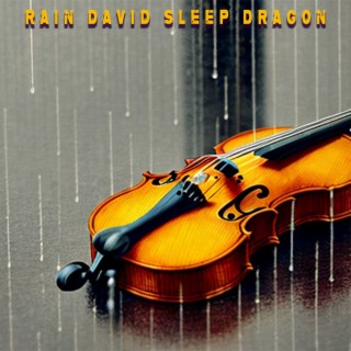 Violin Deluge Melodies: a Musical Journey Immersed in Rain's Serene Symphony