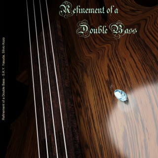 Refinement of a Double Bass