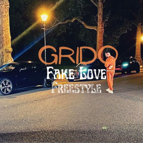 Fake Love (Freestyle) | Boomplay Music