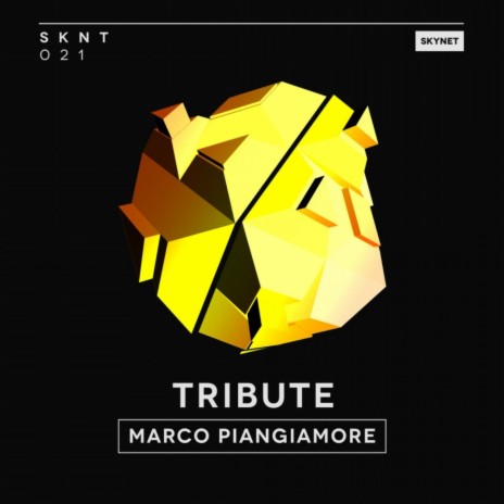 Tribute (Original Mix) | Boomplay Music