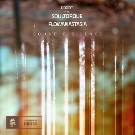 Sound & Silence ft. Soultorque & flowanastasia | Boomplay Music