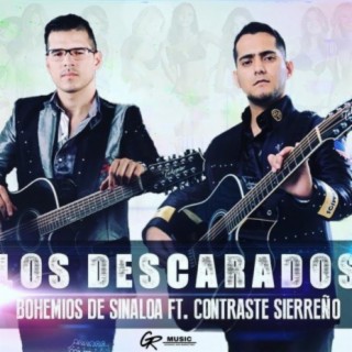 Los Descarados