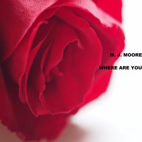 Where Are You | Boomplay Music