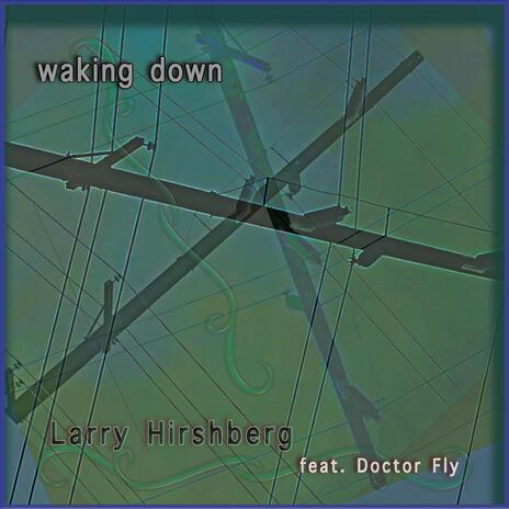 Waking Down ft. Doctor Fly | Boomplay Music