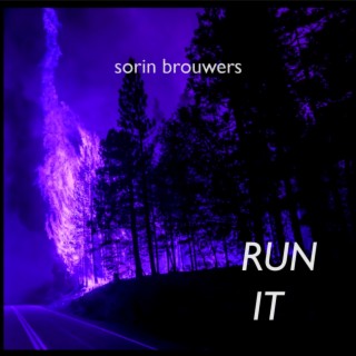 sorin brouwers