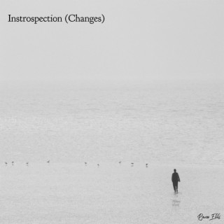 Introspection (Changes)