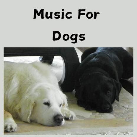 Inner Peace for Pooches ft. Music For Dogs Peace, Relaxing Puppy Music & Calm Pets Music Academy