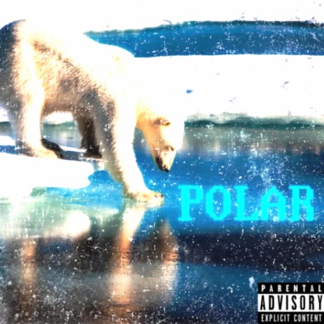 POLAR | Boomplay Music