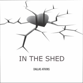 IN THE SHED lyrics | Boomplay Music