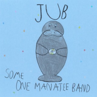 Some One Manatee Band