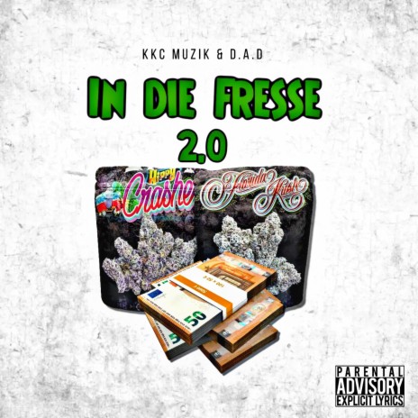 In die Fresse 2.0 ft. D.A.D | Boomplay Music