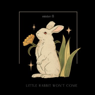 little rabbit won't come (deep in the ambient hole)