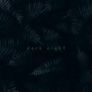 dark night